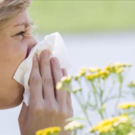 La temporada de alergias se adelanta debido al cambio climático